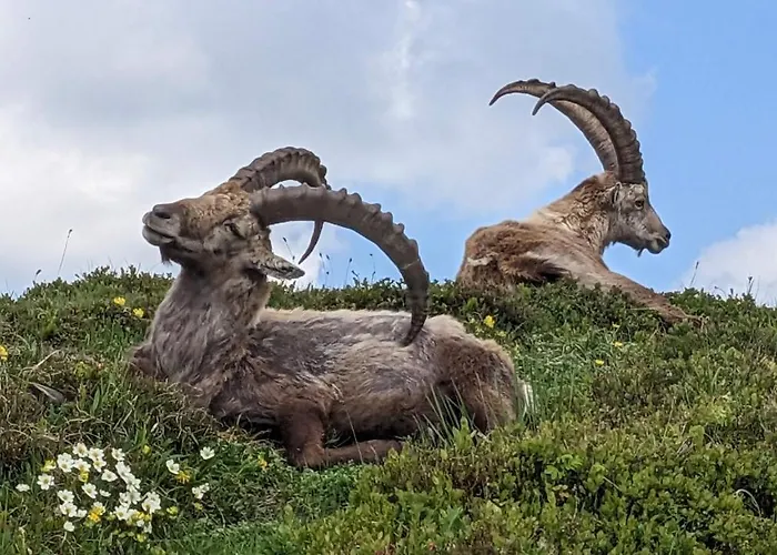 Beau-sejour Szálloda 3*