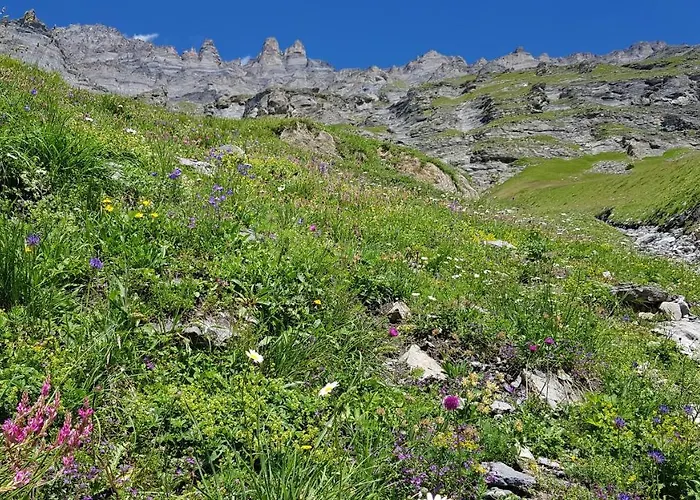 Beau-sejour Leukerbad