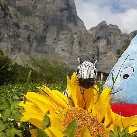 Beau-sejour 3* Leukerbad