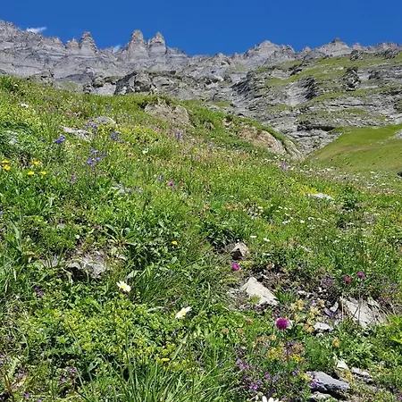 Beau-sejour Leukerbad